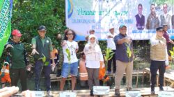 Tanam 6.600 Mangrove, Tanah Bumbu Perkuat Benteng Pesisir dan Serap Karbon